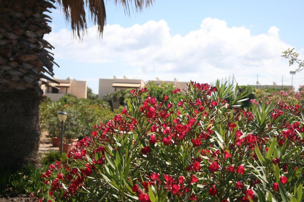 Residence Punta Longa Favignana Exterior photo